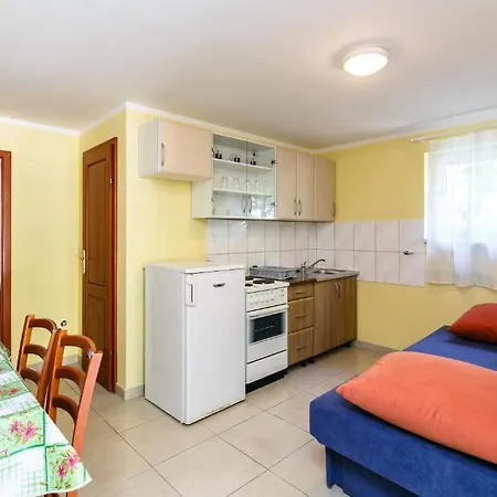 Apartments Posavec Pinezici  Room photo